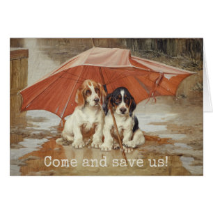Basset hound chiots sous parapluie Trood