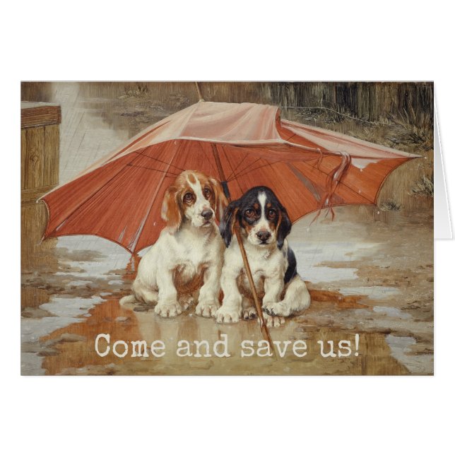 Basset hound chiots sous parapluie Trood (Devant Horizontal)