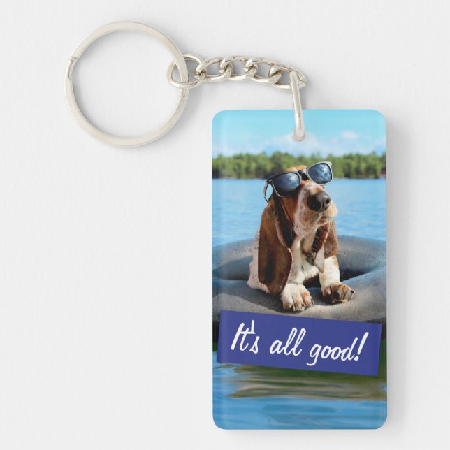 Basset Hound dans les lunettes de soleil (Devant)