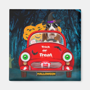 Basset Hound Dog Beängstigendes Halloween Auto Magnet