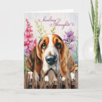 Basset Hound Dog Garden Gladiolus Gut machen