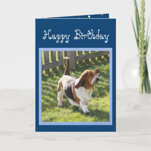 Basset Hound drôle sur la carte d'anniversaire mig
