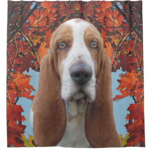 Basset Hound Duschvorhang