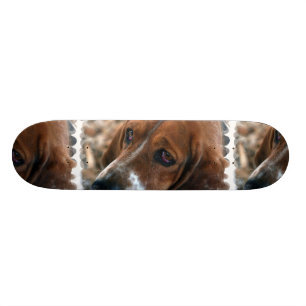 Basset Hound-Entwurfs-Skateboard Skateboard