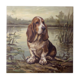Basset Hound Fliese