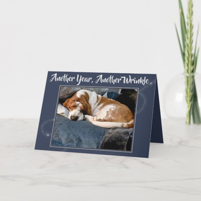 Basset Hound froissé sur la carte d'anniversaire (Devant)