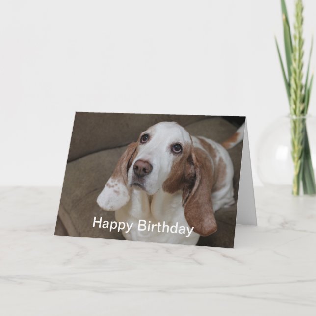 Basset Hound Geburtstagskarte Karte (Vorderseite)