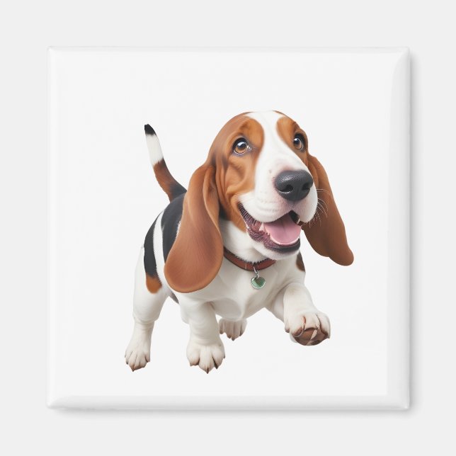 Basset Hound glücklich spielerischer Spaß beim Spr Magnet (Vorne)