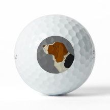 Basset Hound
