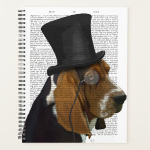 Basset Hound, Hound officiel et Casquette
