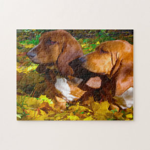 Basset-Hound-Hunde.