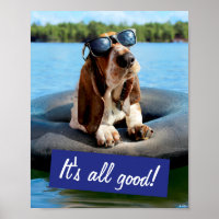 Basset Hound in Sonnenbrille