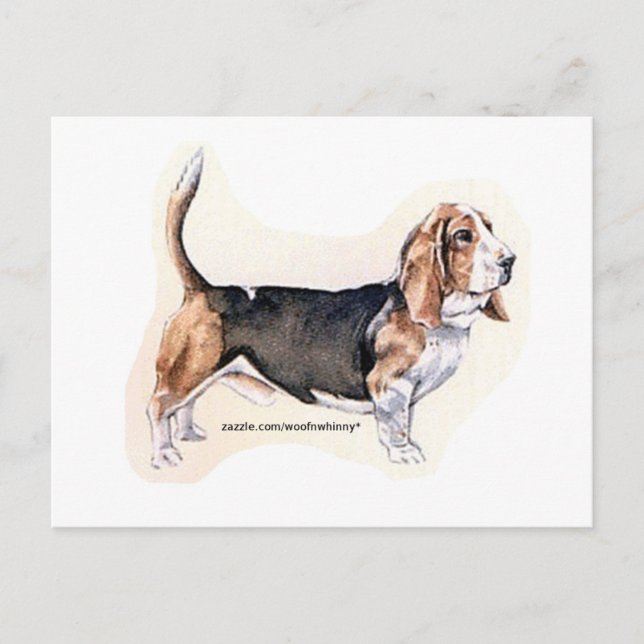 Basset-Hound-Karte Postkarte (Vorderseite)