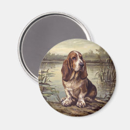 Basset Hound Magnet