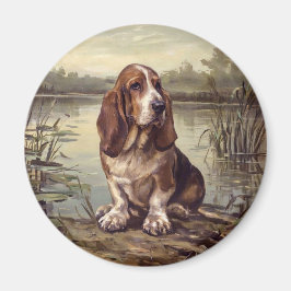Basset Hound Magnet