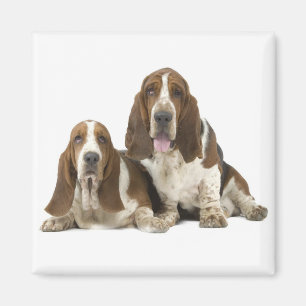 Basset Hound-Magnet Magnet