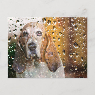 Basset Hound Miss You Postkarte