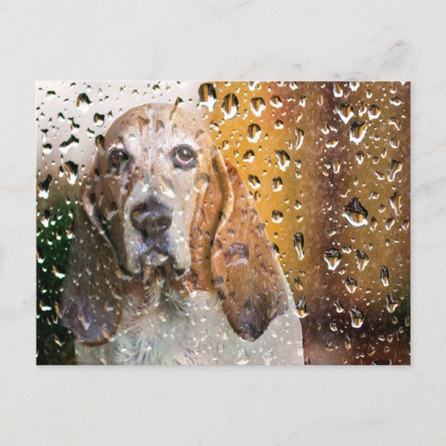 Basset Hound Miss You Postkarte (Vorderseite)