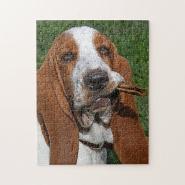Basset Hound Morning Chew (Vertikal)