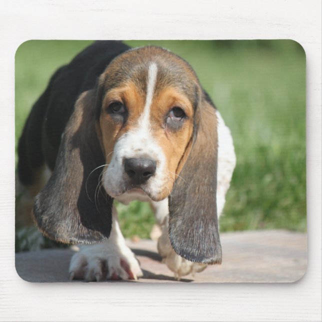 Basset Hound Mousepad (Vorne)