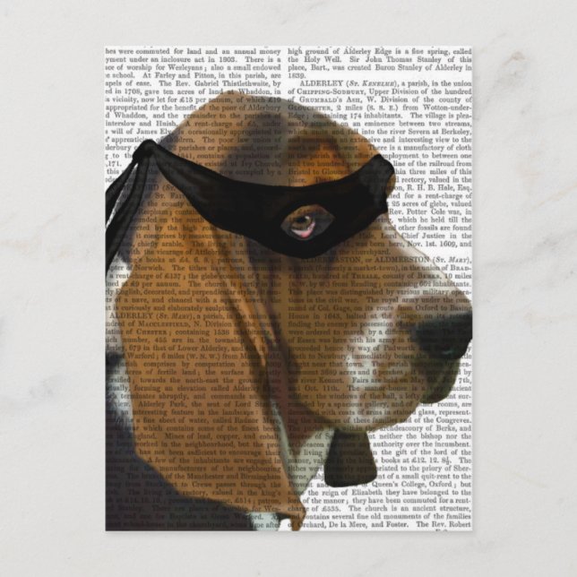 Basset Hound Ninja Postkarte (Vorderseite)