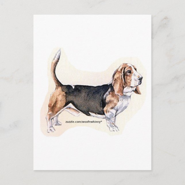 Basset Hound Postkarte (Vorderseite)