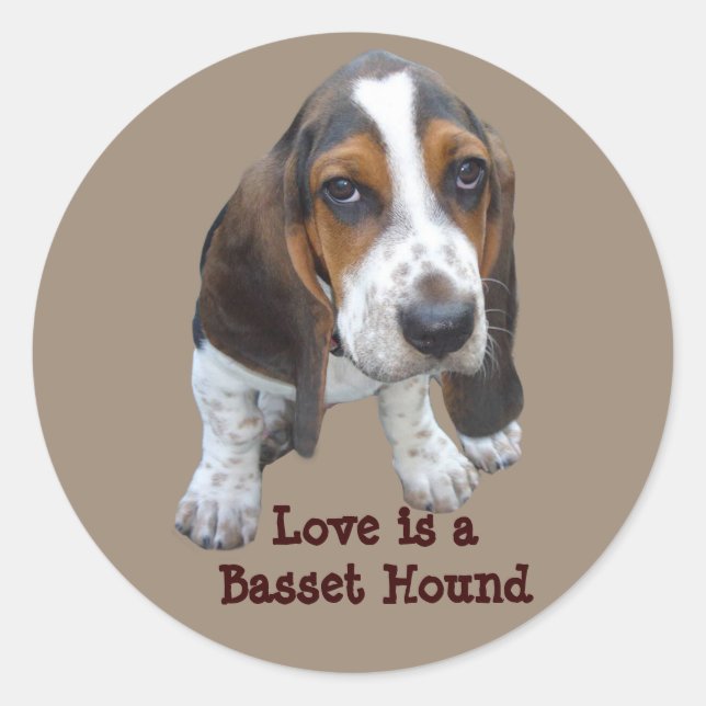 Basset Hound Puppy Sticker (Devant)