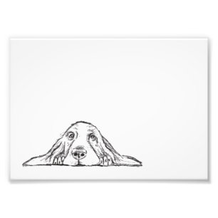 Basset Hound schwarz weiß einfache Welpenaugen  Fotodruck