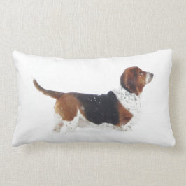 Basset Hound sur le coussin lombaire