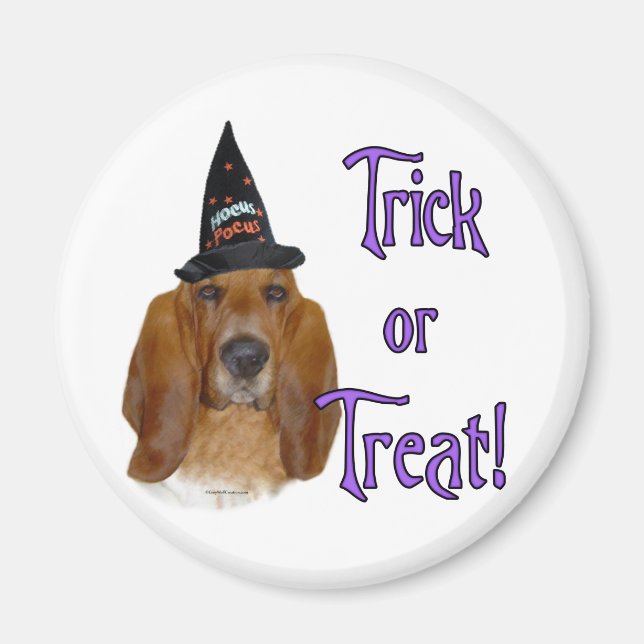 Basset Hound Trick Magnet (Vorne)