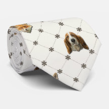 Basset Hound u. Fox