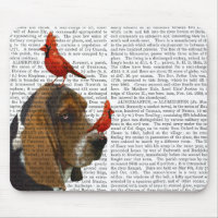 Basset Hound und Vögel