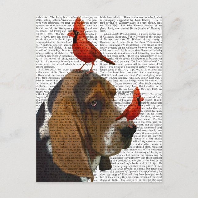 Basset Hound und Vögel Postkarte (Vorderseite)