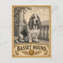 Basset Hound, Vintage-Heritage-Hund