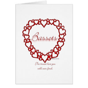 Basset Hound Wahre Liebe
