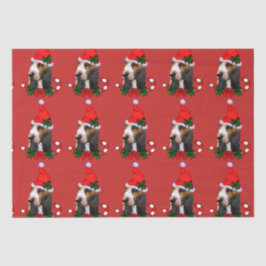 Basset Hound Weihnachtsmannmütze Weihnachten Seidenpapier