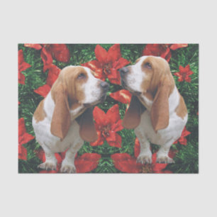 Basset Hound-Weihnachtspoinsettias Seidenpapier