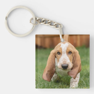 Basset Hound-Welpe beim Gehen Schlüsselanhänger