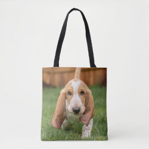 Basset Hound-Welpe beim Gehen Tasche