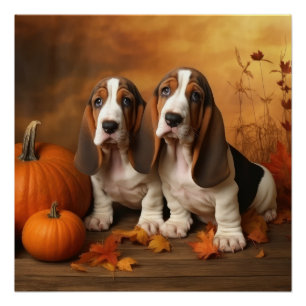 Basset Hound Welpe Herbstfreude Kürbis Poster