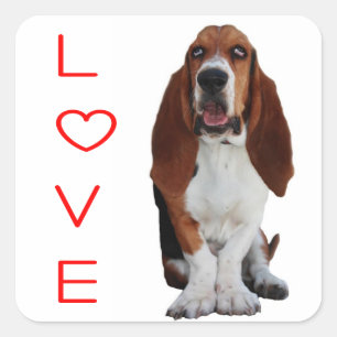 Basset Hound Welpen-Hund-Aufkleber / Etikett Quadratischer Aufkleber
