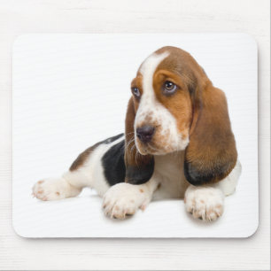 Basset Hound Welpen Hund Computermauspad Mousepad