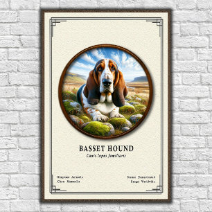 Basset Hound Zoologie-Serie Poster