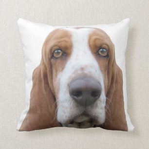 Basset Hound, zum ungefähr zu heulen Kissen