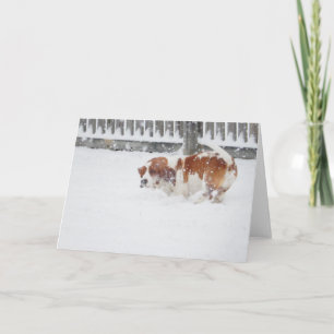"Basset Hounds in the Wild" series greeting cards Karte