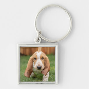 Basset Houng Puppy Walking Schlüsselanhänger