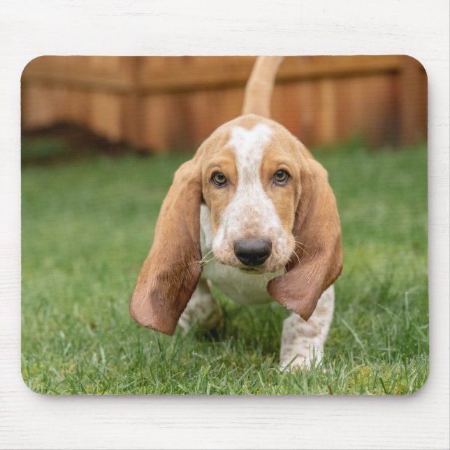 Basset Houng Welpe Walking Mousepad (Vorne)