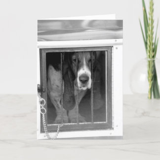 Basset-Hundegefängnis Karte