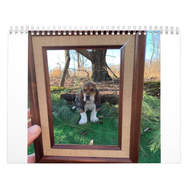 Basset-Hundekalender Kalender (Titelbild)