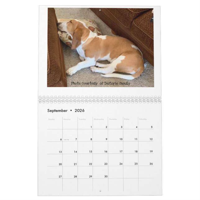 Basset-Hundekalender Kalender (Sep 2026)